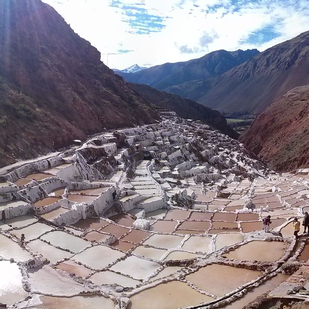 Maras Moray