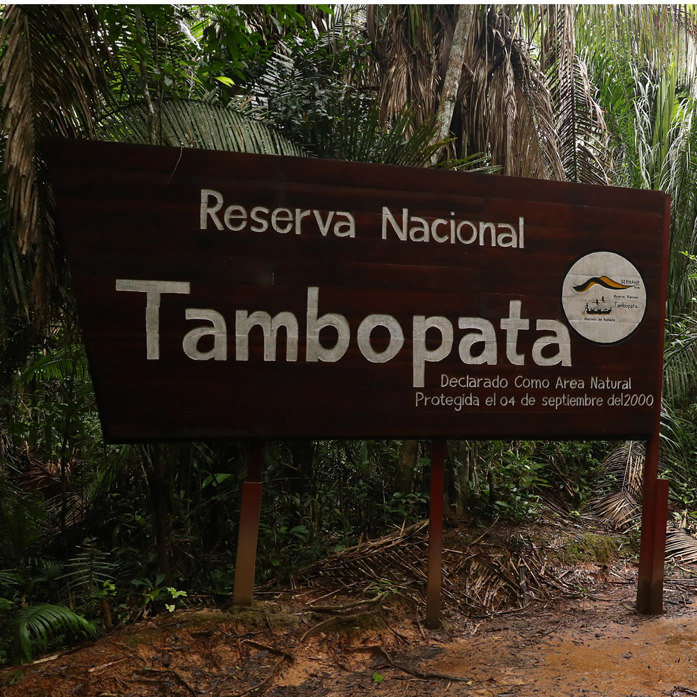 tambopata 2